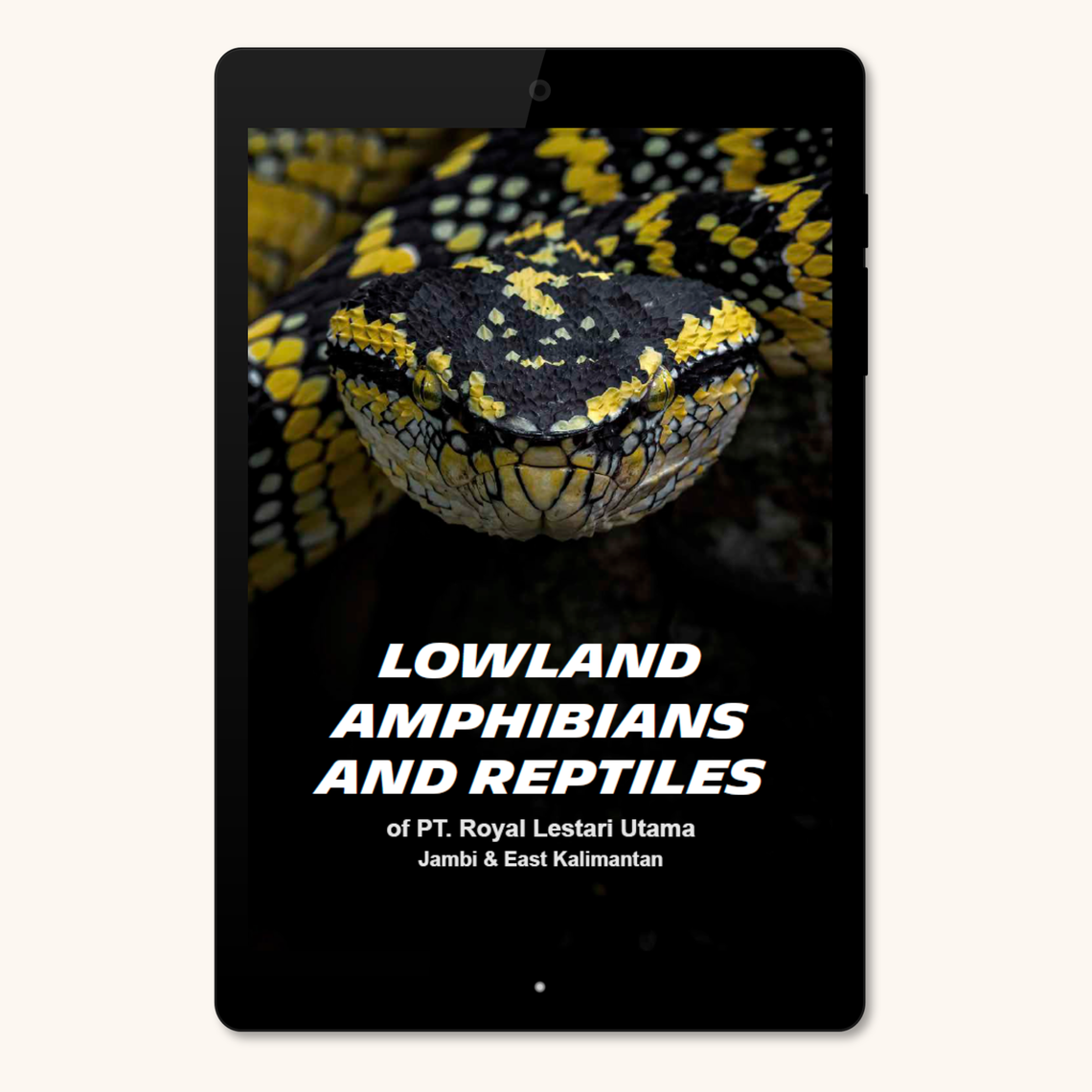 Lowland amphibians reptiles of pt rlu-NEW