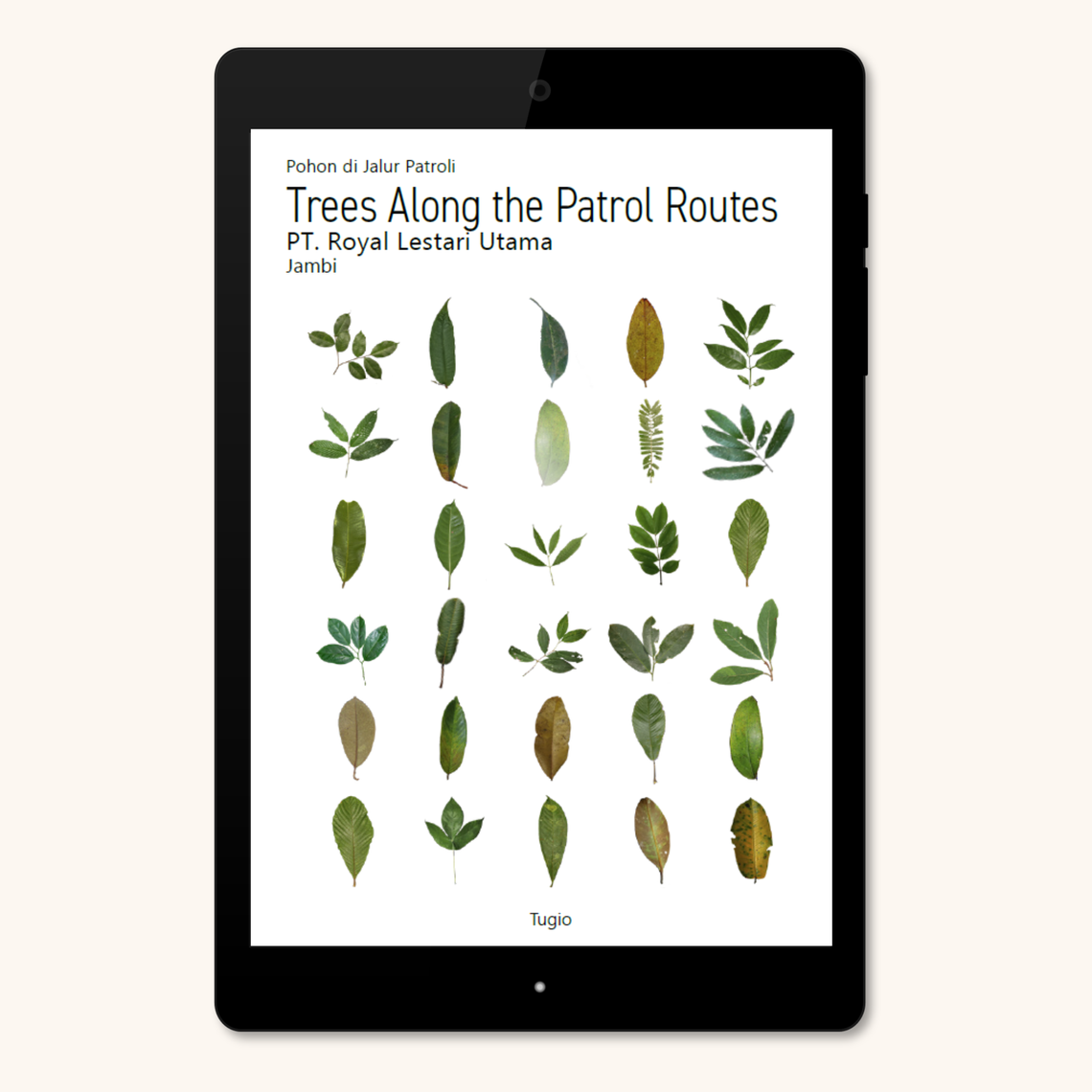 Trees along the patrol routes pt rlu-NEW