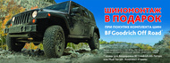 bfgoodrich service