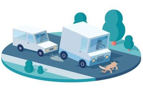 auto edito infographic dogb tips en adviezen