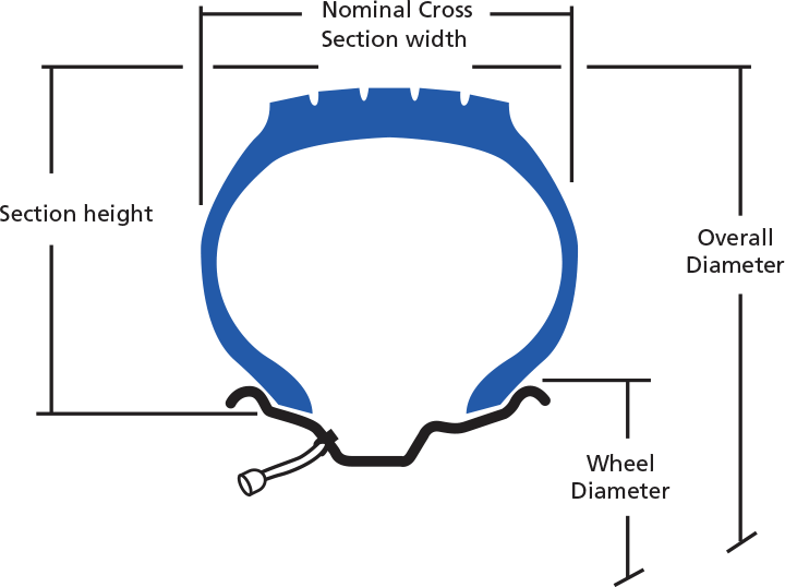 tire aspect ratio ; read a tire ; tire cut view